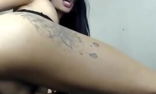 Horny Colombian Shemale 247
