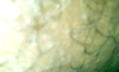 Ebony soft cream hole bareback