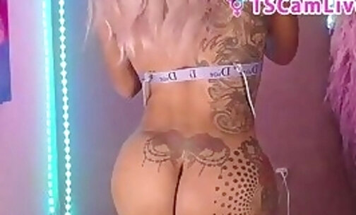 Attractive Big Ass Tgirl shows her nice ass hole in a WebCam Show Part2