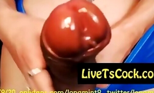 amazing tranny longmint big penis on live webcam