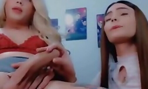 shemale her white friend s cock