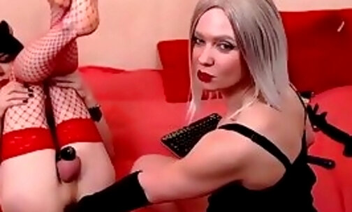 amazing mistress norma controling her femboy servant on