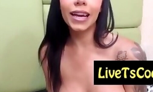 randy tattooed mexican transsexual live on live webcam