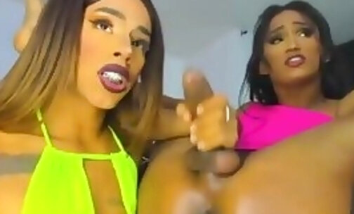 slim latina trans sisters ashley and gaby have sex on webcam