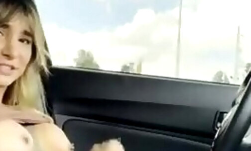 Tgirl jerking off in the car