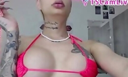 Tattoed Tgirl Bouncing her ass Chiks in a live webcam show Part 5